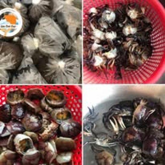 Cua đồng xay sạch