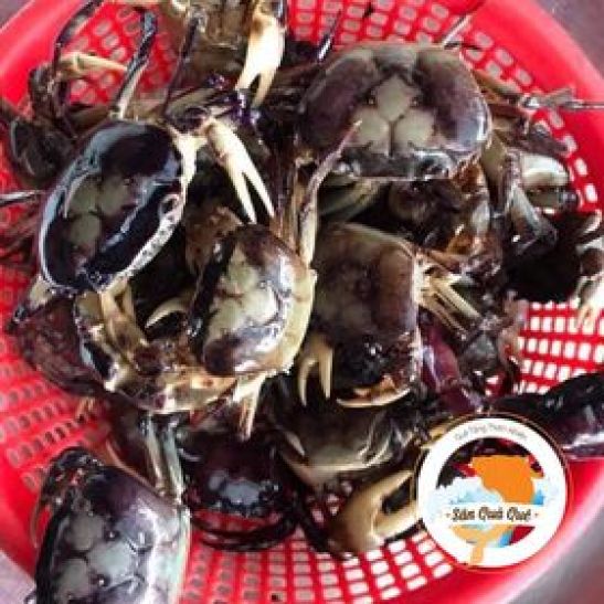 Cua đồng xay sạch ( chưa lọc )